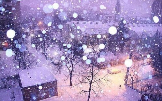 【视野】期待这样一场飘雪- 大数跨境