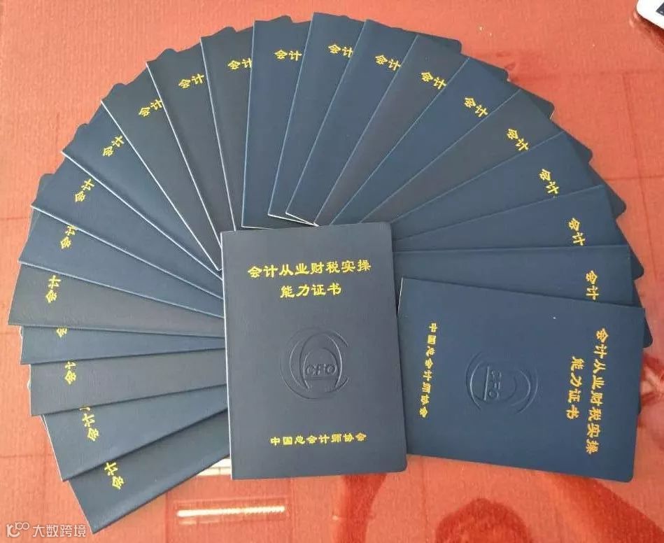 会计从业财税实操能力证书样本