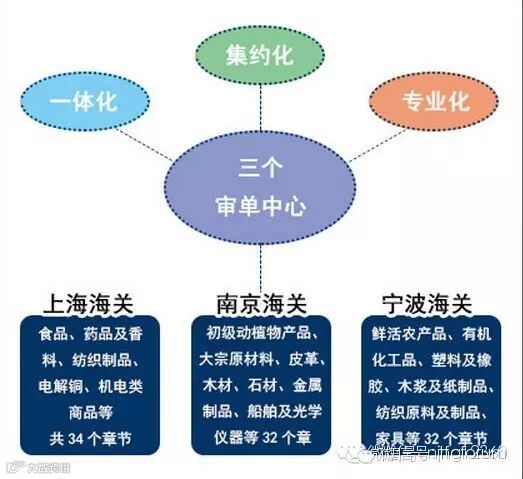 海关审单中心分工示意图