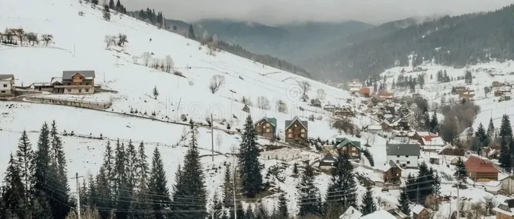 东欧COD：实用审单工具分享