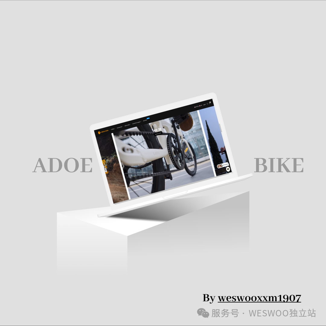 Shopify全栈开发指南：技术架构、API集成与主题定制实战- 大数跨境