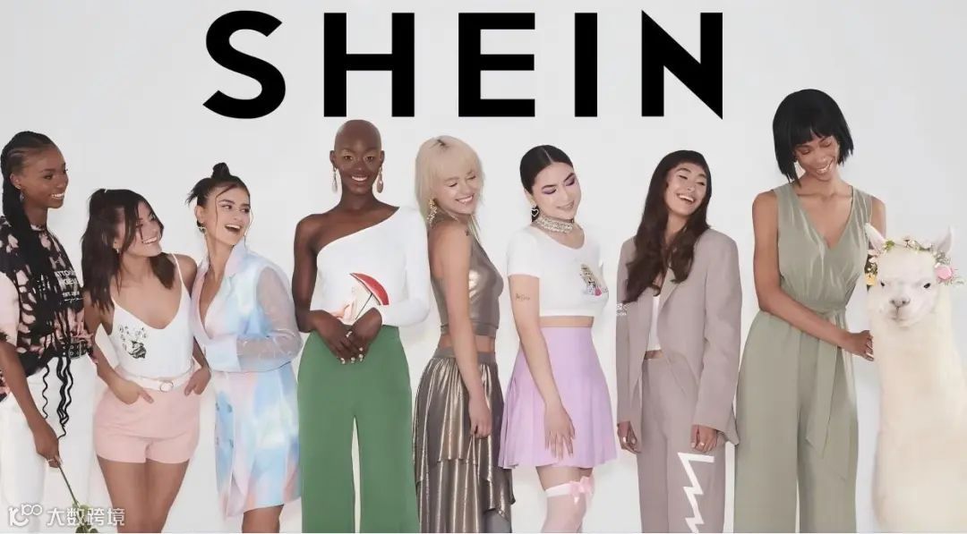 3103610_sheinbanner_642313(1).jpg