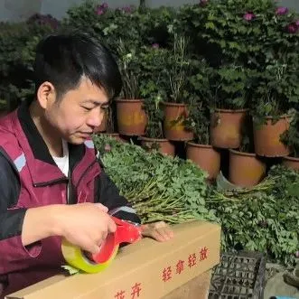 【一线】提效10%日发4000单,圆通差异化服务“花中之王”