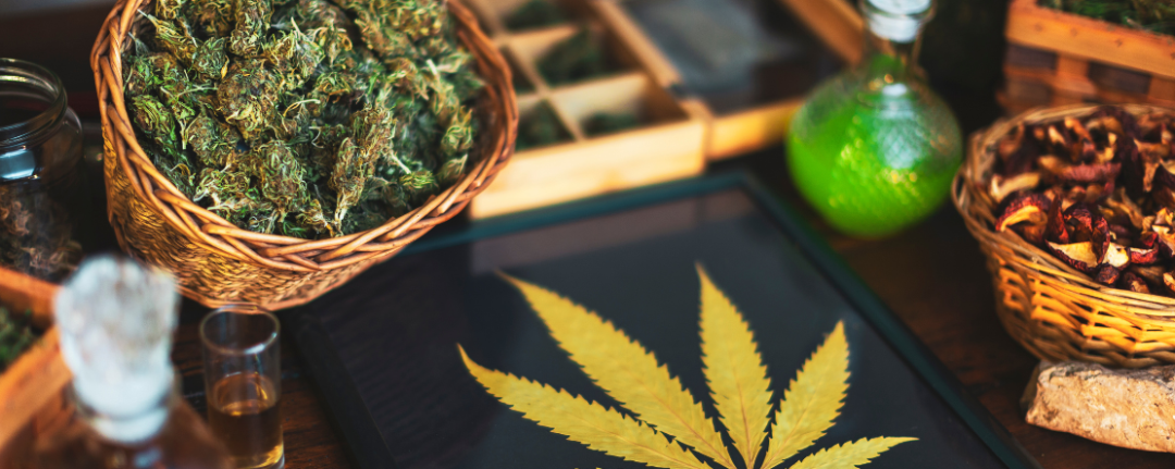 Resources: Understanding the Differences Between Cannabis & Hemp - Public  Health Institute