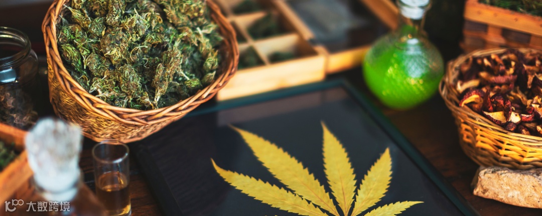 Resources: Understanding the Differences Between Cannabis & Hemp - Public Health Institute