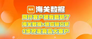 TikTok矩阵群发:跨国语言伪装+AI评论数据挖掘,日均采集千万级活跃买家数据库
