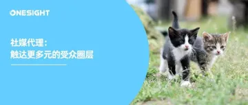 00后运营“入侵”全世界?社媒接管成激活全球影响力新策略