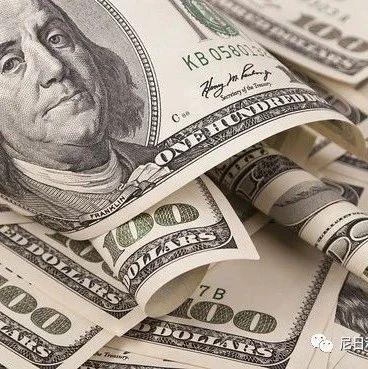 缺钱缺护照!尼日利亚政府为向海外侨民收取100美元的费用辩护- 大数跨境