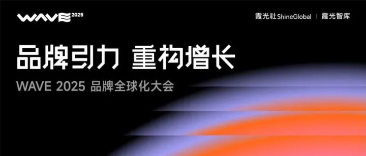 出海下半场，一个没有标准答案的时代｜WAVE2025
