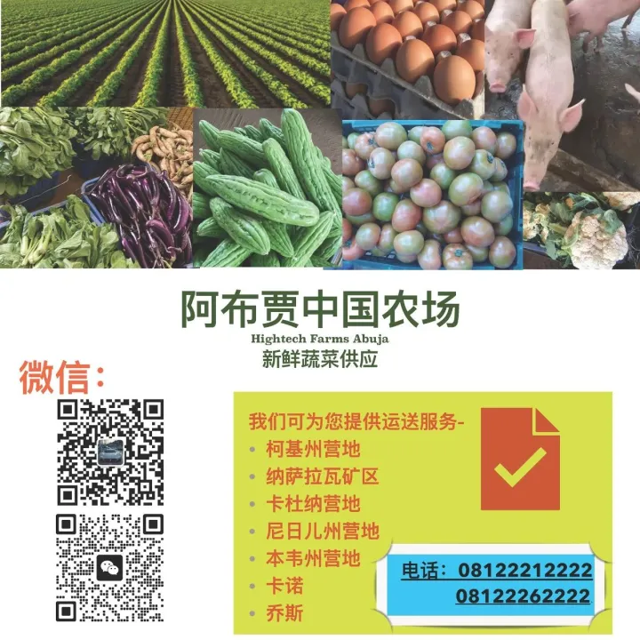 尼日利亚中资生活服务企业：中国农场、酒店、机票签证
