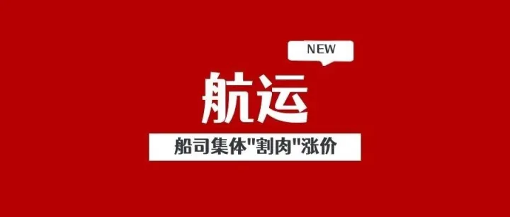 航运涨爆！船司集体"割肉"涨价2000美元，卖家供应链遭遇灭顶之灾