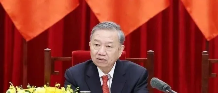 越南｜越共中央总书记苏林担任完善体制与法律工作的中央指导委员会主任