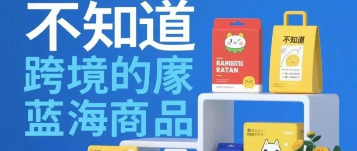 揭秘！不为人知的跨境电商蓝海品类
