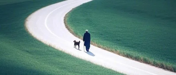 美国T86政策取消！跨境商家有哪些应对的野路子？