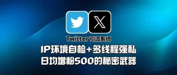 Twitter引流系统:IP环境自检+多线程强私,日均增粉500的秘密武器