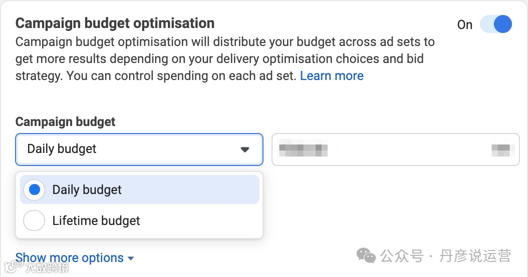 在每日预算和终身预算之间进行选择