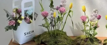 震惊！原来马斯克他妈迪拜77岁生日的宴会布置来自这家中国人开的神仙店铺~