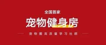 刚刚,全国首家 “宠物健身房” 上海将开业!“狗生”巅峰,不过如此...