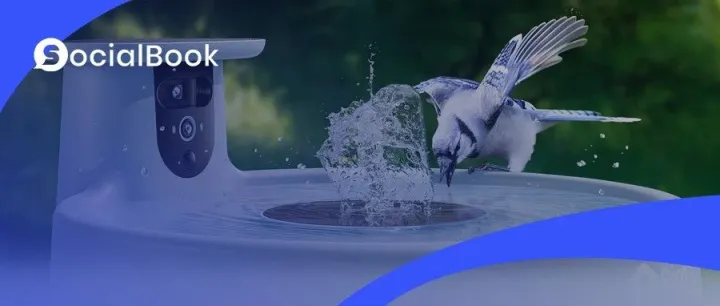 国产鸟窝Birdfy出海，单价高达199美元也能实现百万月销