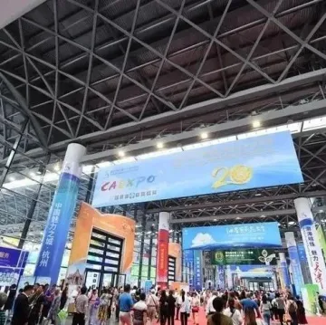 东盟|东盟与中国云南贸易稳步增长