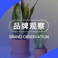 平均每天卖出500盆,线上绿植品牌The Sill是怎么做到的?
