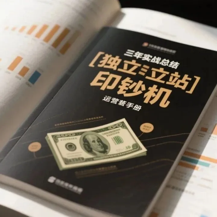 平台封号也不怕！3年实战总结的独立站"印钞机"秘籍，第2点最关键