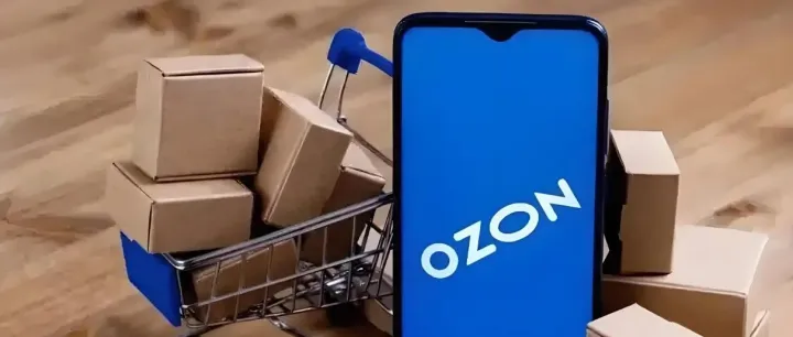 Ozon批量被下链接的常见原因（及处理方法2）