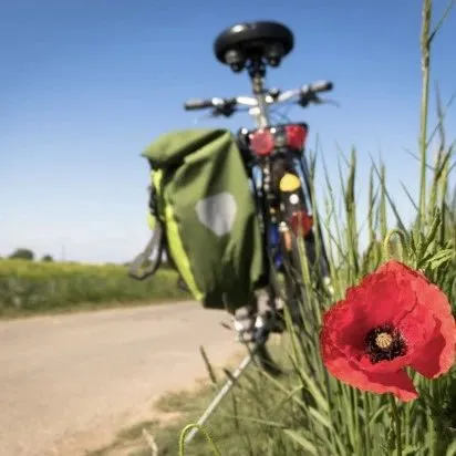 外贸商机篇 | 黑色星期五来了，消费者都想买什么?跨境电商必备手册！
