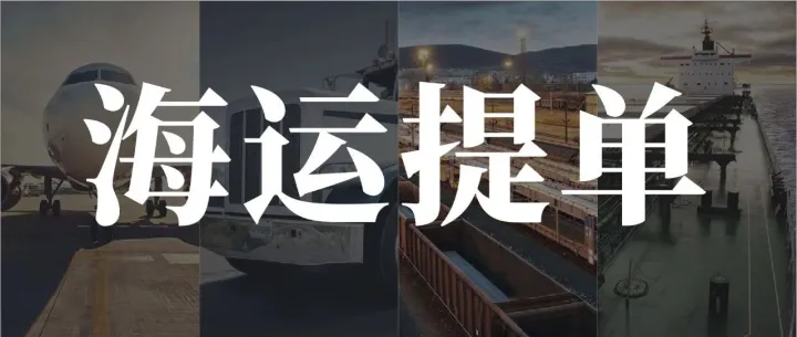 海运提单全解析，这些细节你注意到了吗？