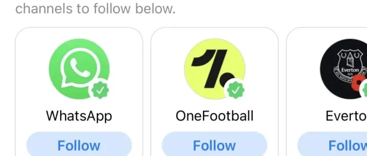 WhatsApp新功能上线，快来学习如何营销