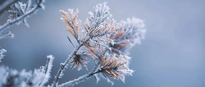 定目标就是定面子，定战略就是空中建楼阁