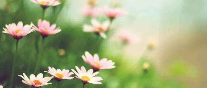 探寻跨境电商的未来是被谁定义的时代？