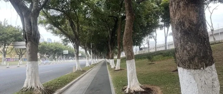 海外市场增长实战指南：如何做SEO?