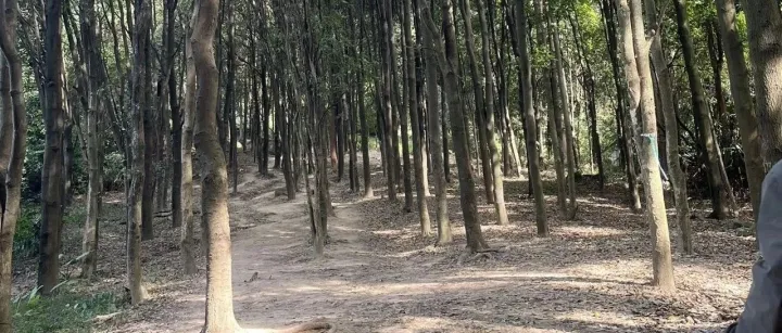 别急着开独立站！这几个能力决定你能赚多少钱