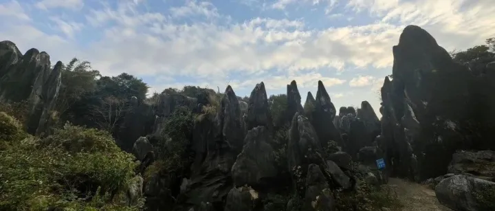 谷歌SEO: 关键词研究(3) - 分析关键词