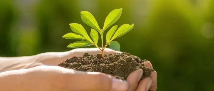 当企业的创始人德不配位的时候会发生什么事情？