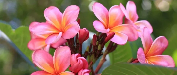 从商业经营的视角分析赵丽颖的事业经营路