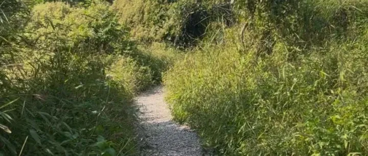 谷歌SEO: 谷歌是如何理解用户搜索意图的？