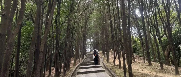 教程｜程序化SEO到底是什么？