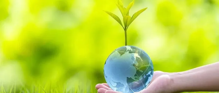 创业就是干一件你能够干好且擅长干的事情