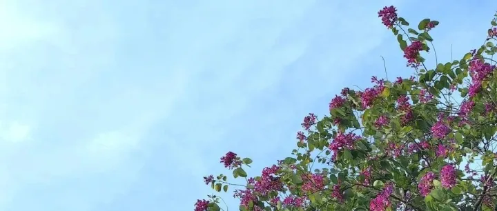 谷歌SEO: 关键词研究(2) - 寻找关键词