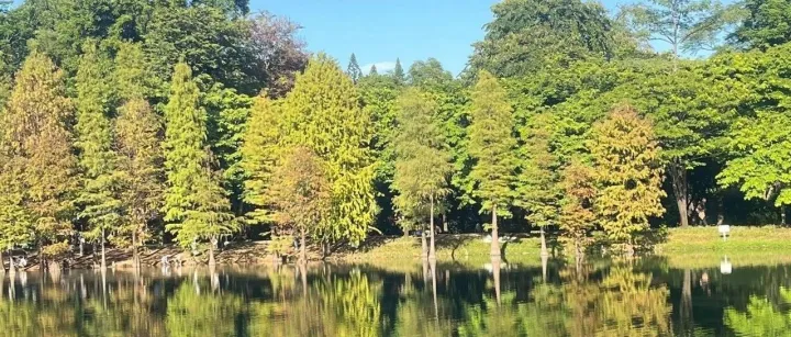 谷歌SEO: 谷歌是如何决定页面排名的？