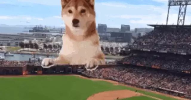 Giffiti 给你的照片加上有趣的 GIF- 大数跨境