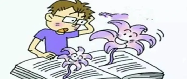 国外客户发来如此内容的询价信函作为外贸业务员该如此回复才是最恰当的