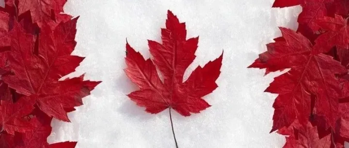 多伦多中国来客-30