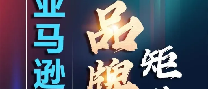 亚马逊站外品牌矩阵-打造多款类目TOP1，顶级技术！！！