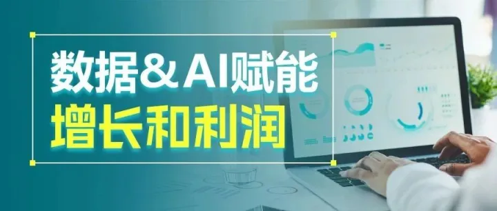 AI与数据双驱动，赋能亚马逊利润与人效倍增