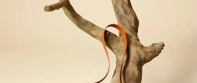 做跨境铺货？一张图裂变十种场景，搞定视觉难题！