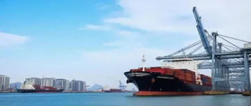 上海港：这类集装箱，50%优惠减免！