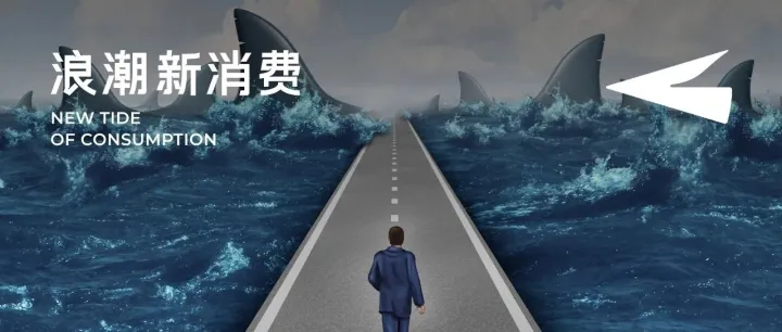 猫砂两年做到市场第一，对话高爷家董小松：红海中的“佛系”赢家